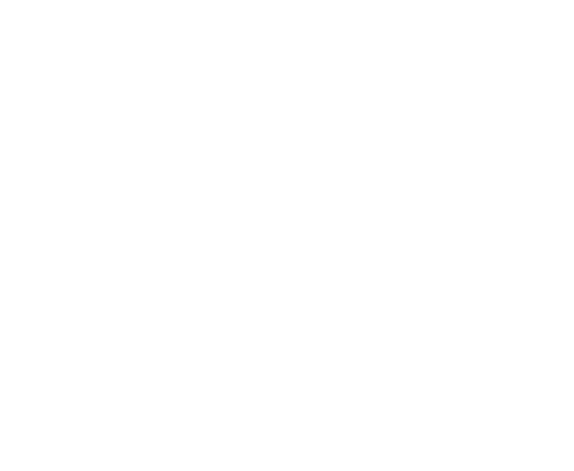 light logo